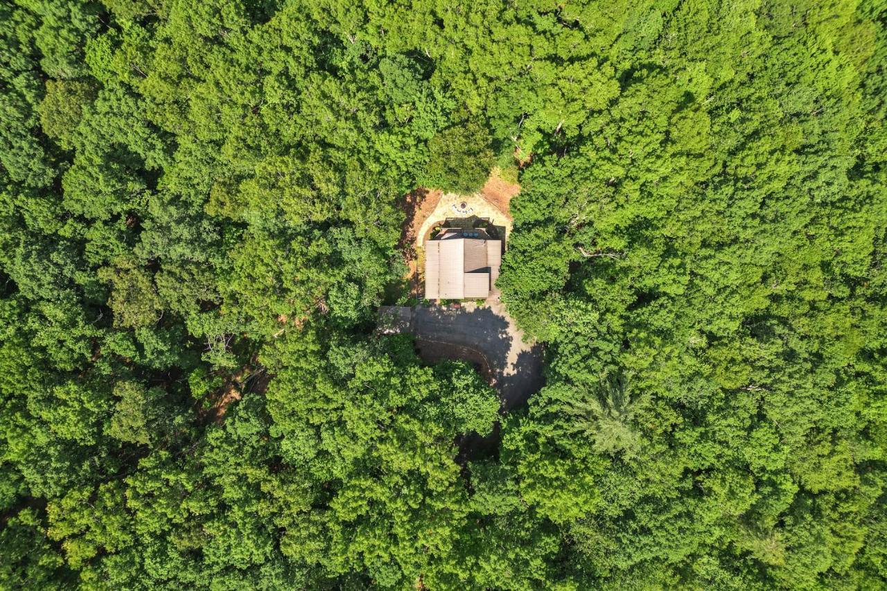 Bear Naked Bungalow Blue Ridge Zewnętrze zdjęcie